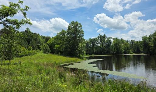 Photo #4 of 1239 Morris Creek Road, Cullen, VA 23.2 acres