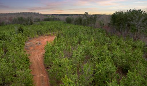 Photo #5 of Patrick Henry Highway, Charlotte Court House, VA 102.0 acres