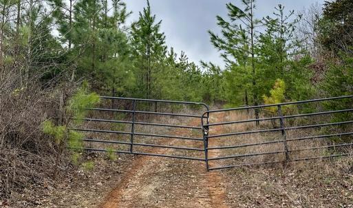 Photo #2 of Patrick Henry Highway, Charlotte Court House, VA 102.0 acres