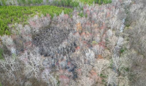 Photo #4 of Patrick Henry Highway, Charlotte Court House, VA 102.0 acres