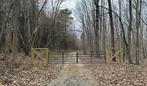 Photo #2 of Scuffletown Road, Randolph, VA 79.0 acres