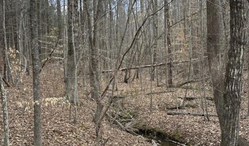 Photo #4 of Scuffletown Road, Randolph, VA 79.0 acres