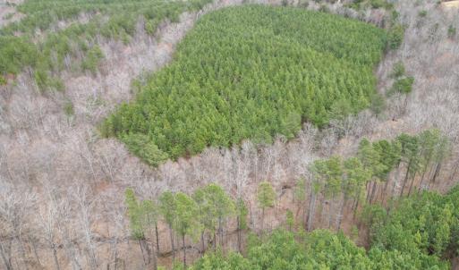 Photo #5 of Scuffletown Road, Randolph, VA 79.0 acres