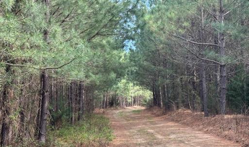 Photo #6 of Scuffletown Road, Randolph, VA 79.0 acres