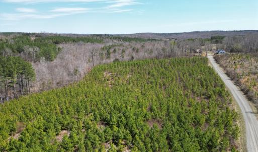 Photo #2 of Dixon Trail, Vernon Hill, VA 270.0 acres