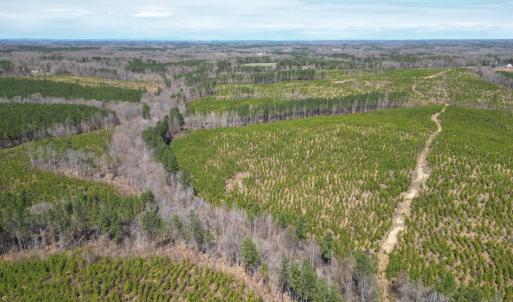 Photo #3 of Dixon Trail, Vernon Hill, VA 270.0 acres