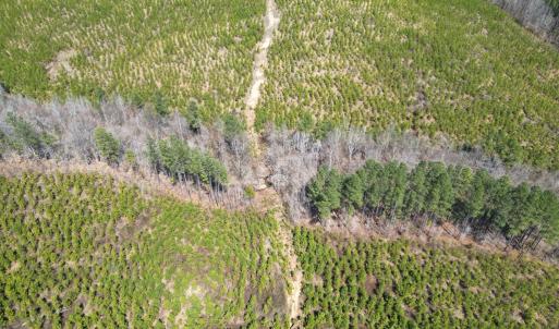 Photo #6 of Dixon Trail, Vernon Hill, VA 270.0 acres