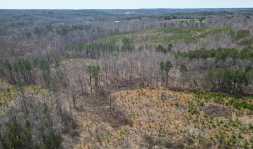 Photo #4 of Dixon Trail, Vernon Hill, VA 270.0 acres