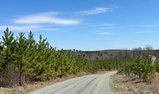 Photo #5 of Dixon Trail, Vernon Hill, VA 270.0 acres