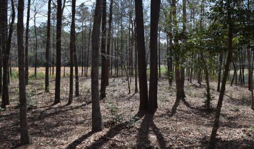 Photo #3 of Lot  75 SCARBURGH LANE, HORNTOWN, VA 3.0 acres