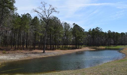 Photo #7 of Lot  75 SCARBURGH LANE, HORNTOWN, VA 3.0 acres