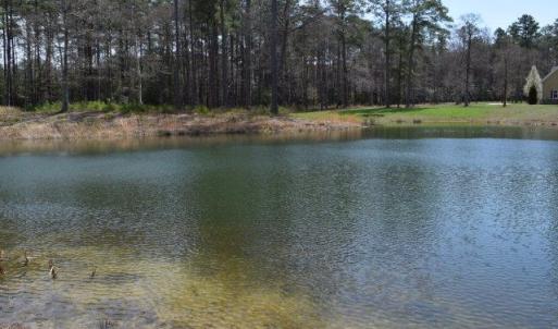 Photo #10 of Lot  75 SCARBURGH LANE, HORNTOWN, VA 3.0 acres