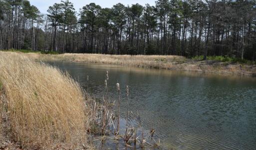 Photo #13 of Lot  75 SCARBURGH LANE, HORNTOWN, VA 3.0 acres