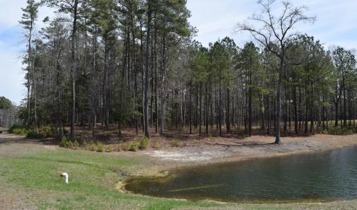 Photo #2 of Lot  75 SCARBURGH LANE, HORNTOWN, VA 3.0 acres