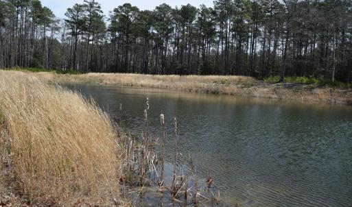 Photo #13 of Lot  75 SCARBURGH LANE, HORNTOWN, VA 3.0 acres