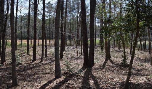 Photo #3 of Lot  75 SCARBURGH LANE, HORNTOWN, VA 3.0 acres