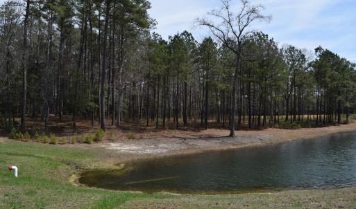 Photo #6 of Lot  75 SCARBURGH LANE, HORNTOWN, VA 3.0 acres