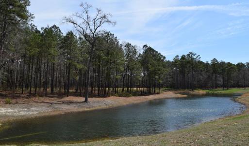 Photo #7 of Lot  75 SCARBURGH LANE, HORNTOWN, VA 3.0 acres