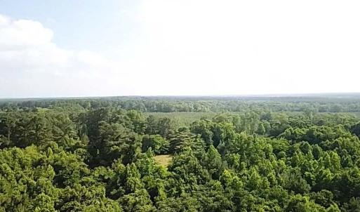 Photo #15 of Christanna Hwy, Lawrenceville, VA 15.1 acres