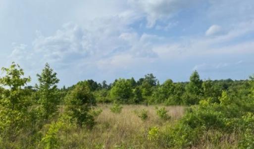 Photo #17 of Christanna Hwy, Lawrenceville, VA 15.1 acres
