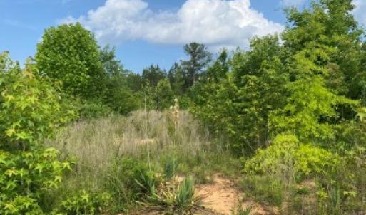Photo #18 of Christanna Hwy, Lawrenceville, VA 15.1 acres