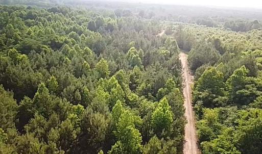 Photo #19 of Christanna Hwy, Lawrenceville, VA 15.1 acres