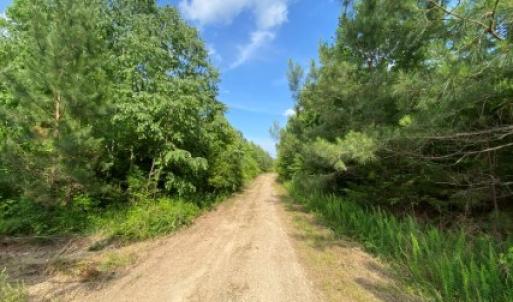 Photo #8 of Christanna Hwy, Lawrenceville, VA 15.1 acres