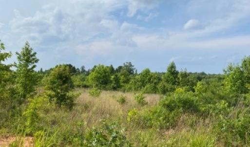 Photo #13 of 46 Christanna Hwy, Lawrenceville, VA 10.1 acres
