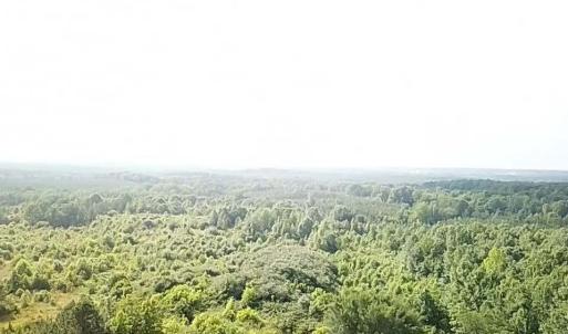 Photo #16 of 46 Christanna Hwy, Lawrenceville, VA 10.1 acres