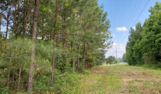 Photo #4 of 46 Christanna Hwy, Lawrenceville, VA 10.1 acres