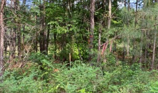 Photo #5 of 46 Christanna Hwy, Lawrenceville, VA 10.1 acres