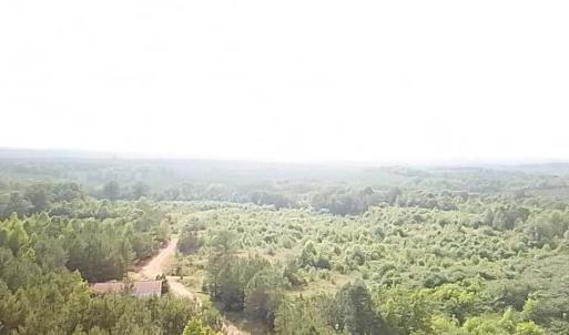 Photo #7 of 46 Christanna Hwy, Lawrenceville, VA 10.1 acres