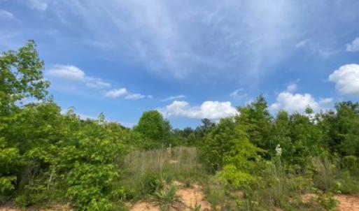 Photo #8 of 46 Christanna Hwy, Lawrenceville, VA 10.1 acres