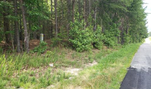 Photo #4 of Wilkins Road, Alton, VA 20.1 acres