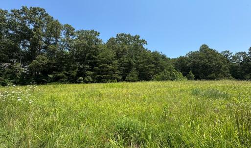 Photo #3 of Duck Pond, Appomattox, VA 1.5 acres