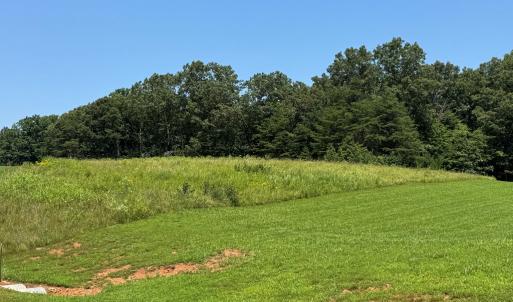 Photo #4 of Duck Pond, Appomattox, VA 1.5 acres