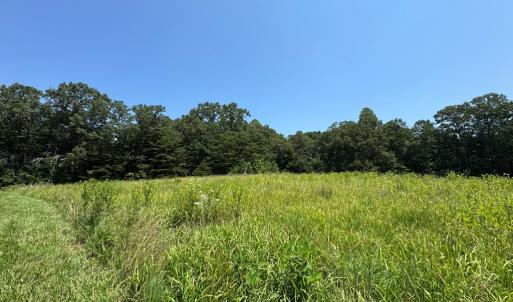 Photo #5 of Duck Pond, Appomattox, VA 1.5 acres