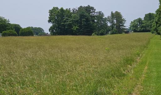 Photo #4 of Main St, Dillwyn, VA 3.3 acres