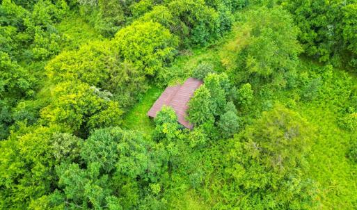 Photo #24 of Prince Edward Highway, Rice, VA 13.8 acres