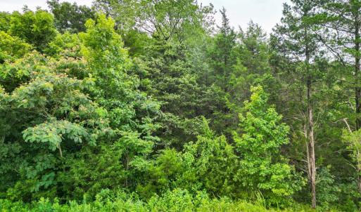 Photo #5 of Prince Edward Highway, Rice, VA 13.8 acres