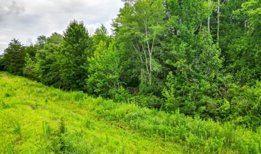 Photo #4 of Prince Edward Highway, Rice, VA 13.8 acres