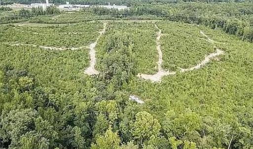 Photo #3 of 704 493 Solomon Road, Crewe, VA 7.0 acres