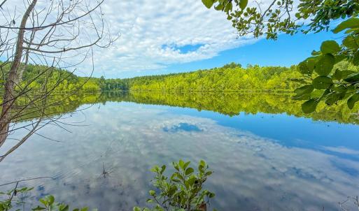 Photo #11 of Mountain Hall Road, Crewe, VA 96.3 acres