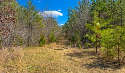 Photo #23 of Mountain Hall Road, Crewe, VA 96.3 acres