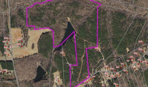 Photo #3 of Mountain Hall Road, Crewe, VA 96.3 acres