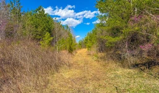 Photo #5 of Mountain Hall Road, Crewe, VA 96.3 acres