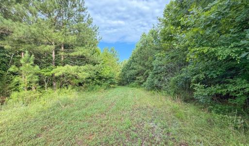 Photo #8 of Mountain Hall Road, Crewe, VA 96.3 acres
