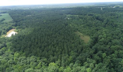 Photo #2 of Genito Parkway, Jetersville, VA 35.8 acres
