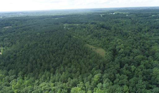 Photo #3 of Genito Parkway, Jetersville, VA 35.8 acres