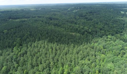 Photo #4 of Genito Parkway, Jetersville, VA 35.8 acres